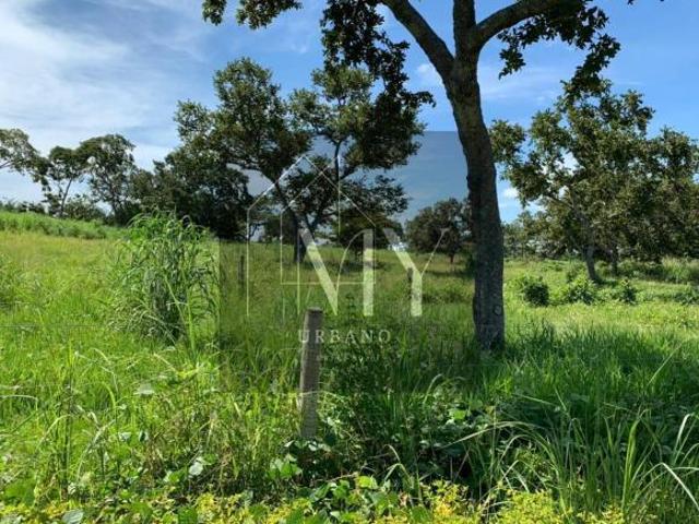 Sítio e chácara venda em Região Geográfica Imediata de Cuiabá, Região Metropolitana do Vale do Rio Cuiabá