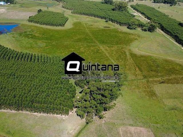 Sítio e chácara venda em Região Geográfica Imediata de Pelotas, Aglomeração Urbana do Sul