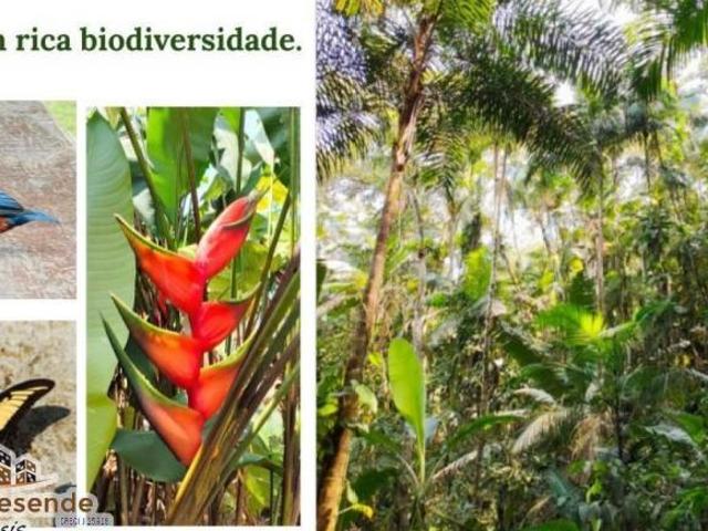 Sítio e chácara venda em Região Imediata de Caraguatatuba-Ubatuba-São Sebastião, Região Metropolitana do Vale do Paraíba e Litoral Norte