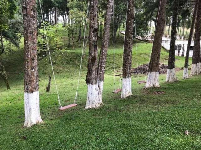 Sítio e chácara venda em Região Geográfica Imediata de Curitiba, Região Metropolitana de Curitiba