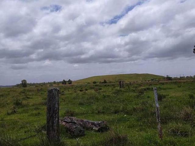 Sítio e chácara venda em Região Geográfica Imediata de Pelotas, Aglomeração Urbana do Sul
