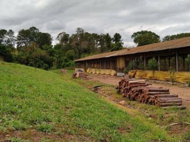 Sítio e chácara venda em Região Imediata de Piracicaba, Região Metropolitana de Piracicaba