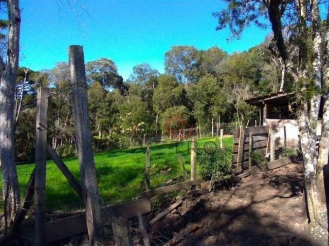 Sítio e chácara venda em Canela