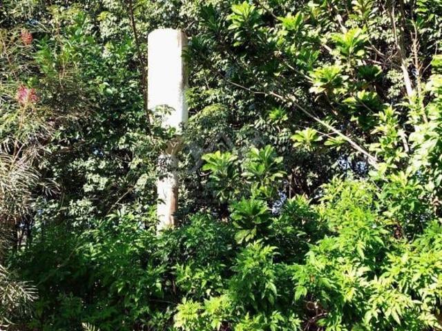 Sítio e chácara venda em Região Imediata de Barretos, Região Metropolitana de São José do Rio Preto