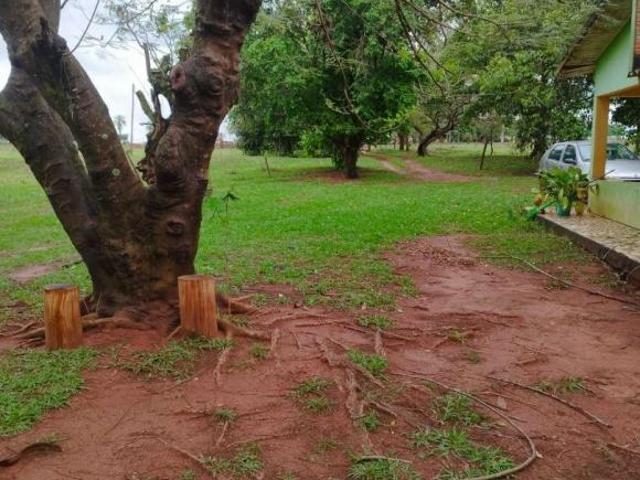 Sítio e chácara venda em Mirante do Paranapanema