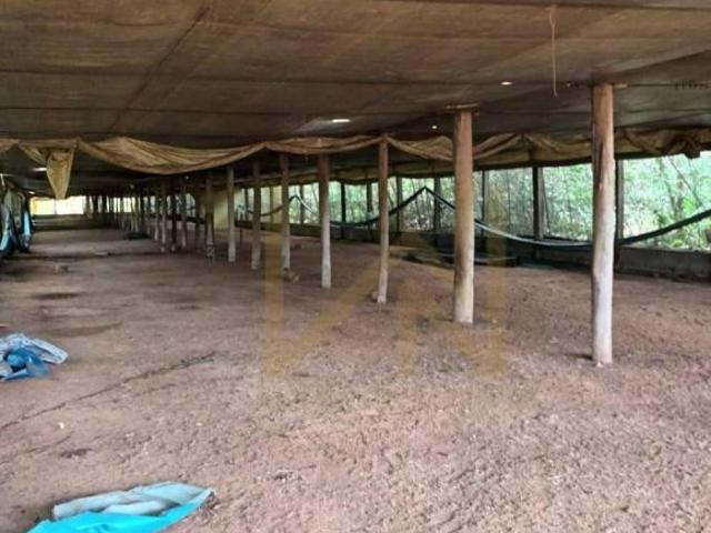 Sítio e chácara venda em Região Imediata de Amparo, Amparo