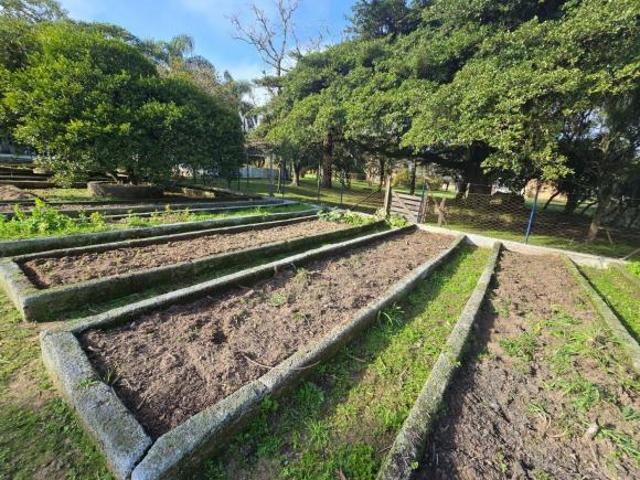 Sítio e chácara venda em Região Geográfica Imediata de Porto Alegre, Região Metropolitana de Porto Alegre