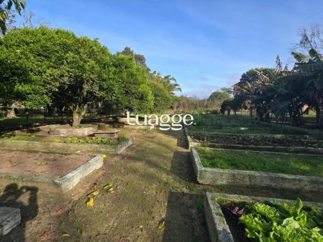 Sítio e chácara venda em Região Geográfica Imediata de Porto Alegre, Região Metropolitana de Porto Alegre