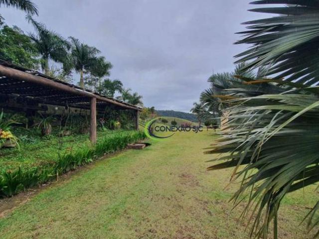 Sítio e chácara venda em Jardim Leunor, Pindamonhangaba