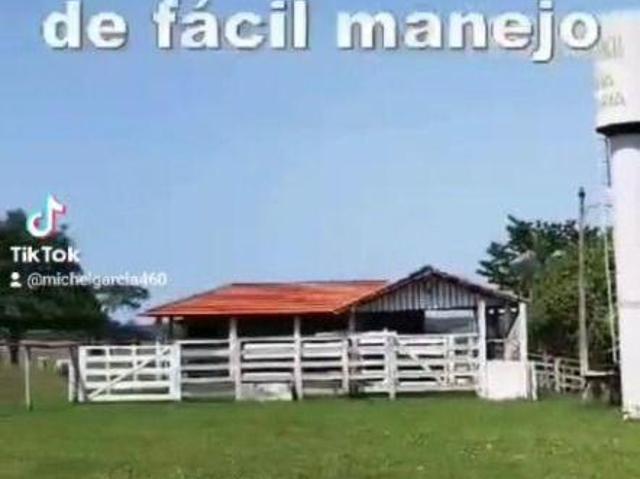 Sítio e chácara venda em Região Imediata de São José do Rio Preto, Região Metropolitana de São José do Rio Preto