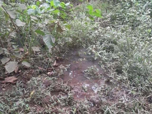 Sítio e chácara venda em Região Geográfica Imediata de Paranavaí, São Carlos do Ivaí