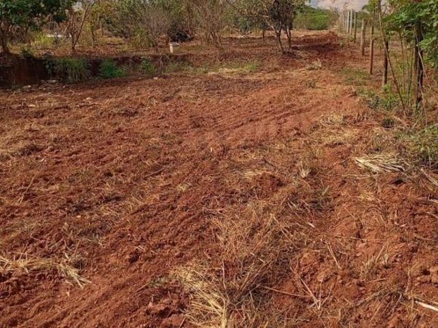 Sítio e chácara venda em Goianésia, Região Geográfica Intermediária de Porangatu-Uruaçu
