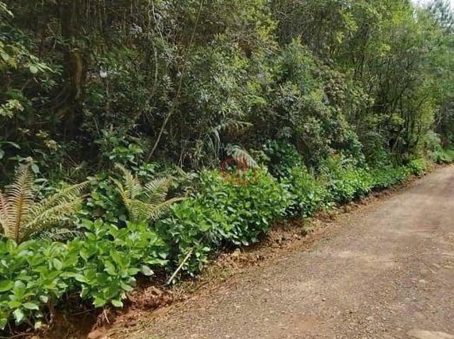 Sítio e chácara venda em Condomínio José Bonifácio, São Francisco de Paula