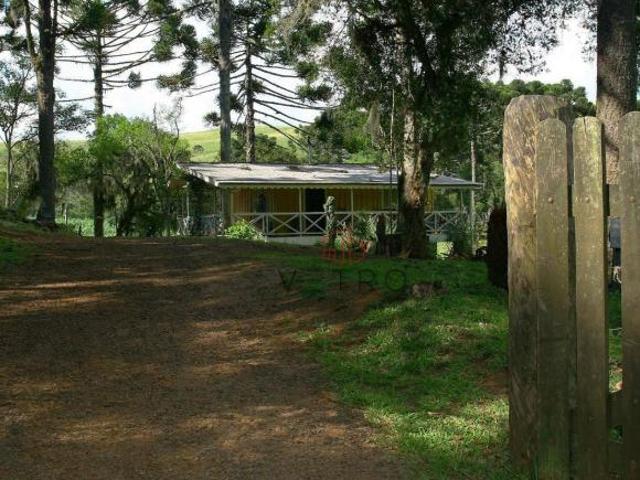 Sítio e chácara venda em Condomínio José Bonifácio, São Francisco de Paula