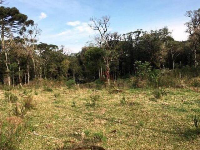 Sítio e chácara venda em Região Geográfica Imediata de Caxias do Sul, Aglomeração Urbana do Litoral Norte