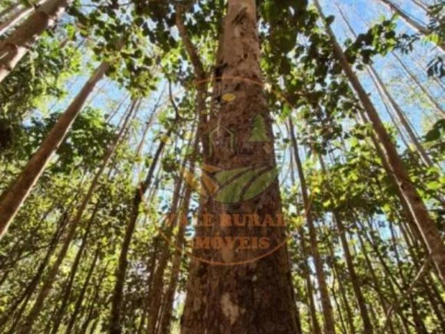 Sítio e chácara venda em Região Imediata de São José dos Campos, Região Metropolitana do Vale do Paraíba e Litoral Norte