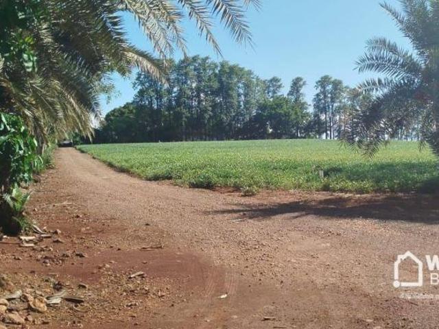 Sítio e chácara venda em Região Geográfica Imediata de Maringá, São Jorge do Ivaí