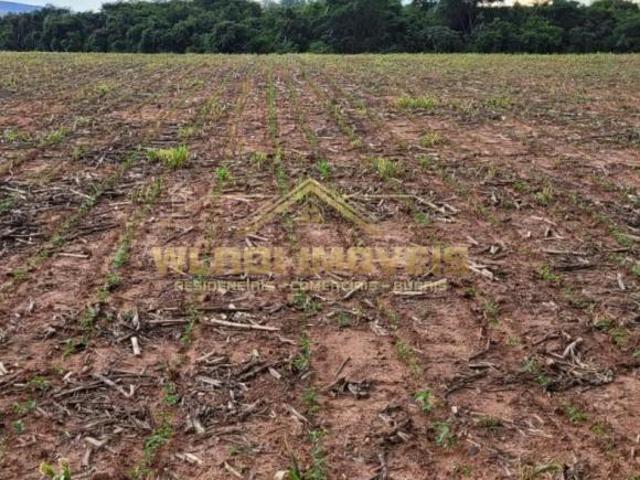 Sítio e chácara venda em Região Geográfica Imediata de Passos, São José da Barra