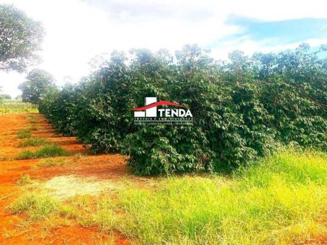 Sítio e chácara venda em São José da Bela Vista