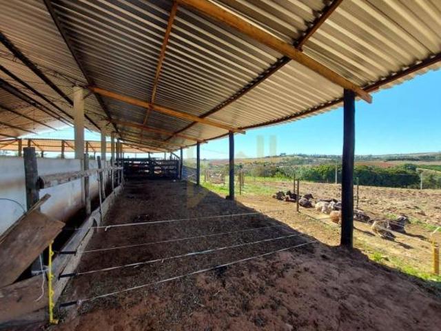 Sítio e chácara venda em Região Imediata de Campinas, Região Metropolitana de Campinas