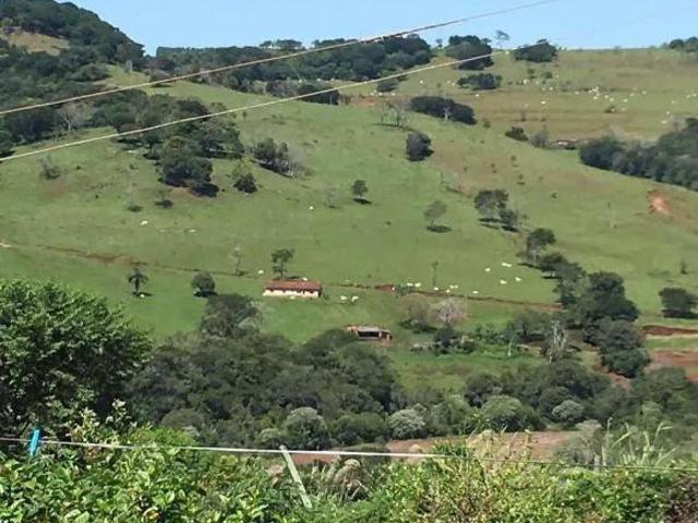 Sítio e chácara venda em Região Geográfica Imediata de São Luís, Nazaré