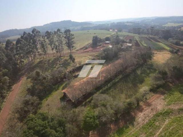 Sítio e chácara venda em Região Geográfica Imediata de Cascavel, Cascavel