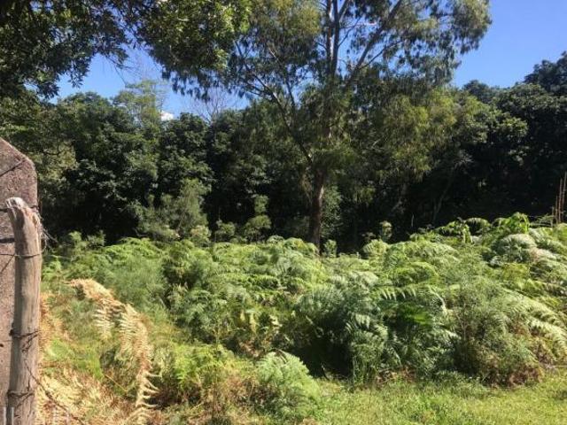 Sítio e chácara venda em Região Geográfica Imediata de Caxias do Sul, Caxias do Sul