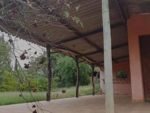 Sítio e chácara venda em Região Geográfica Imediata de Guanhães, Dores de Guanhães