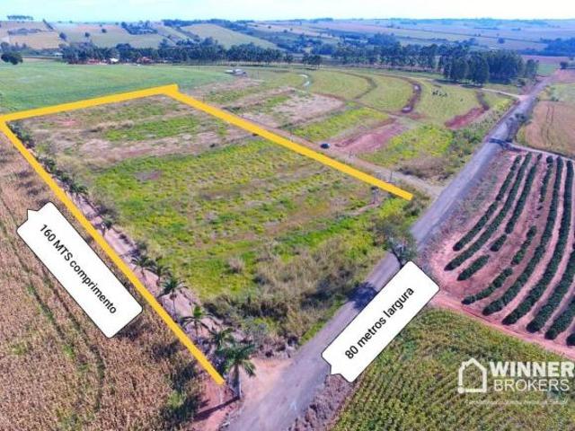 Sítio e chácara venda em Região Geográfica Imediata de Londrina, Sabáudia