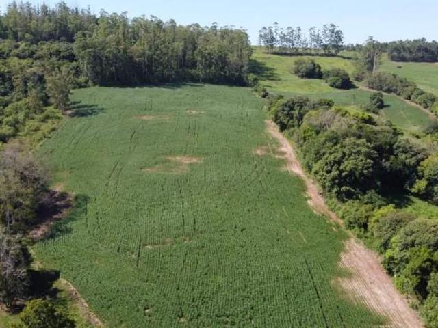 Sítio e chácara venda em Região Geográfica Imediata de Encantado, Anta Gorda