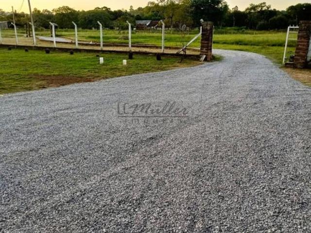 Sítio e chácara venda em Região Geográfica Imediata de Santa Cruz do Sul, Santa Cruz do Sul