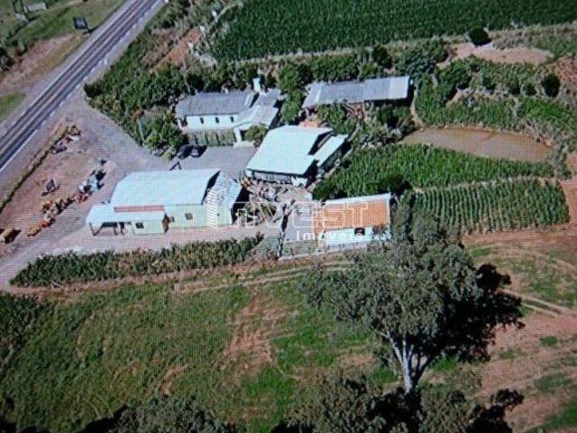 Sítio e chácara venda em Região Geográfica Imediata de Santa Cruz do Sul, Santa Cruz do Sul