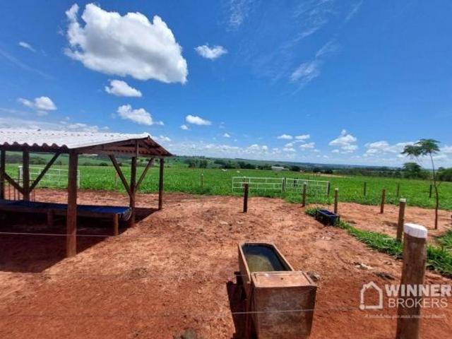 Sítio e chácara venda em Região Geográfica Imediata de Maringá, Santa Fé