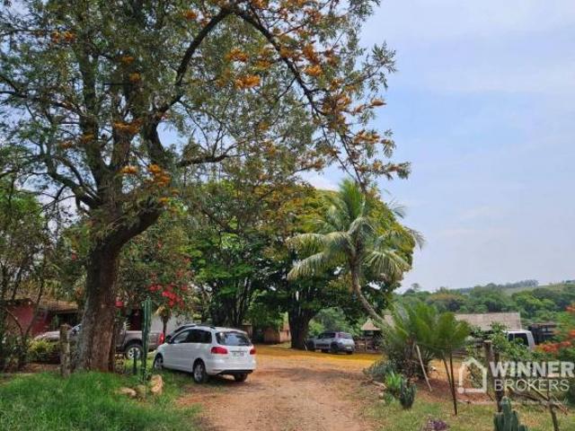 Sítio e chácara venda em Região Geográfica Imediata de Maringá, Santa Fé