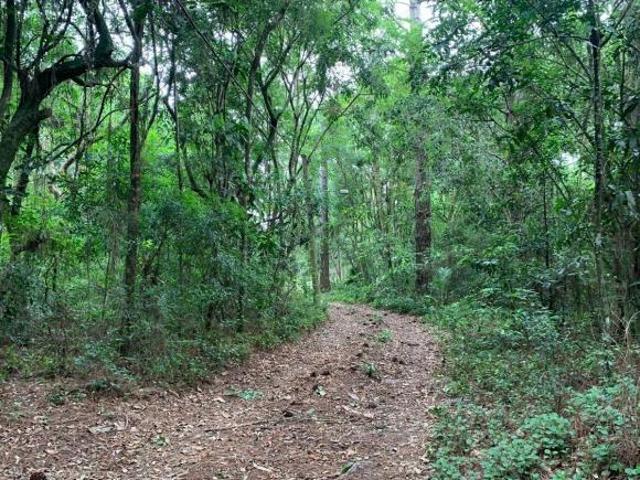 Sítio e chácara venda em Região Geográfica Imediata de Porto Alegre, Região Metropolitana de Porto Alegre