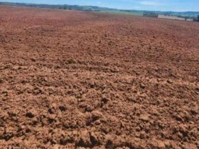 Sítio e chácara venda em Santa Rita do Passa Quatro, Região Geográfica Intermediária de Araraquara