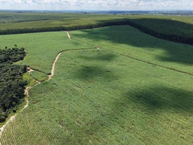 Sítio e chácara venda em Região Imediata de Ribeirão Preto, Região Metropolitana de Ribeirão Preto