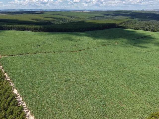 Sítio e chácara venda em Região Imediata de Ribeirão Preto, Região Metropolitana de Ribeirão Preto