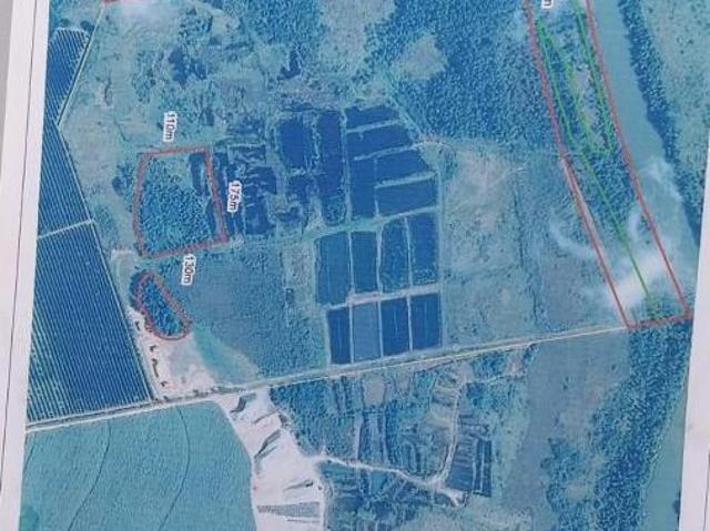 Sítio e chácara venda em Região Imediata de Ribeirão Preto, Região Metropolitana de Ribeirão Preto