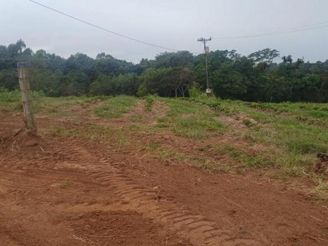 Sítio e chácara venda em Região Imediata de Ribeirão Preto, Região Metropolitana de Ribeirão Preto