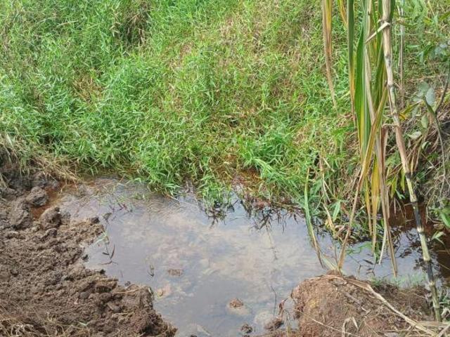 Sítio e chácara venda em Região Imediata de Ribeirão Preto, Região Metropolitana de Ribeirão Preto