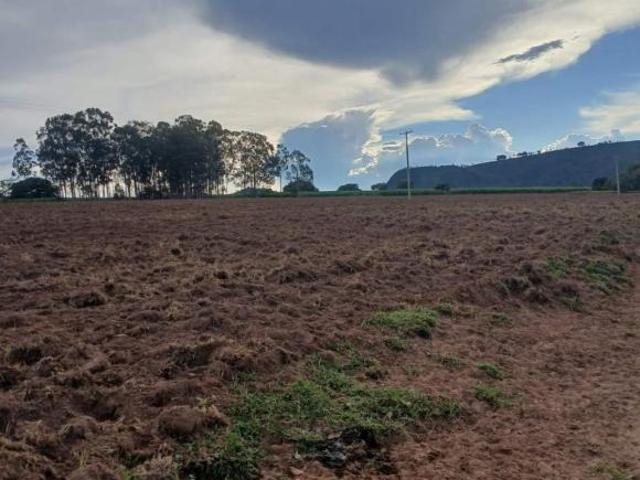 Sítio e chácara venda em Região Imediata de Ribeirão Preto, Região Metropolitana de Ribeirão Preto
