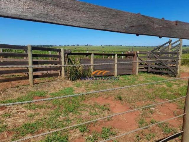 Sítio e chácara venda em Região Imediata de Araçatuba, Santo Antônio do Aracanguá