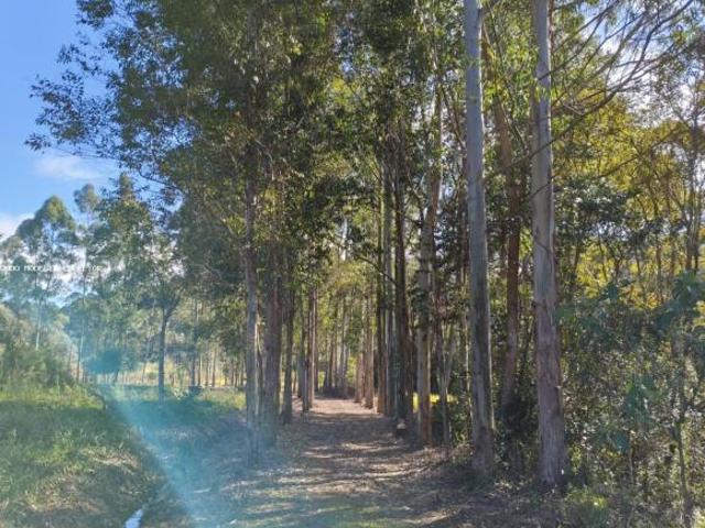 Sítio e chácara venda em Senador Amaral, Região Geográfica Intermediária de Pouso Alegre