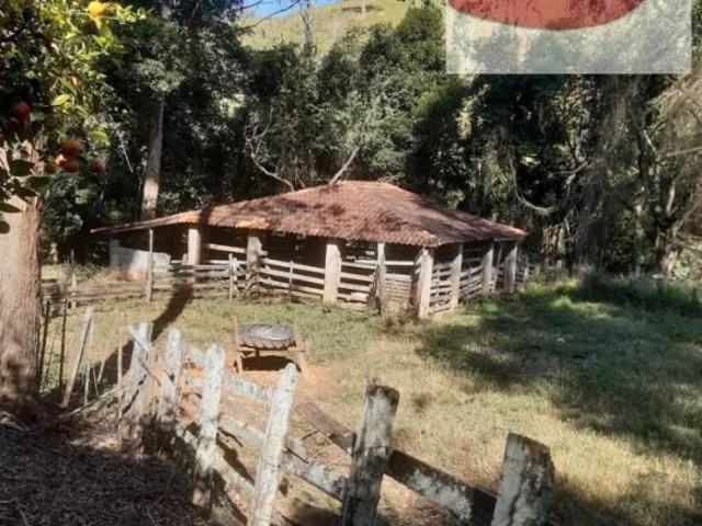 Sítio e chácara venda em Senador José Bento, Região Geográfica Intermediária de Pouso Alegre