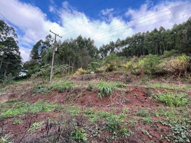 Sítio e chácara venda em Região Geográfica Imediata de Encantado, Anta Gorda