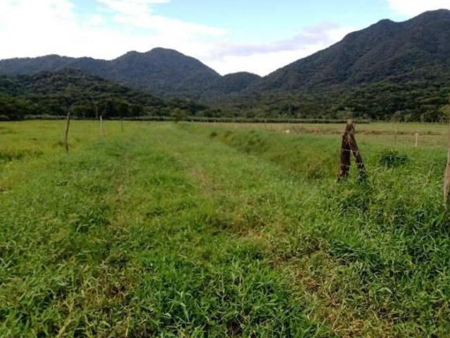 Sítio e chácara venda em Sete Barras