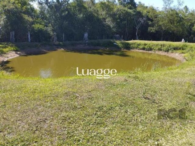 Sítio e chácara venda em Região Geográfica Imediata de Porto Alegre, Região Metropolitana de Porto Alegre
