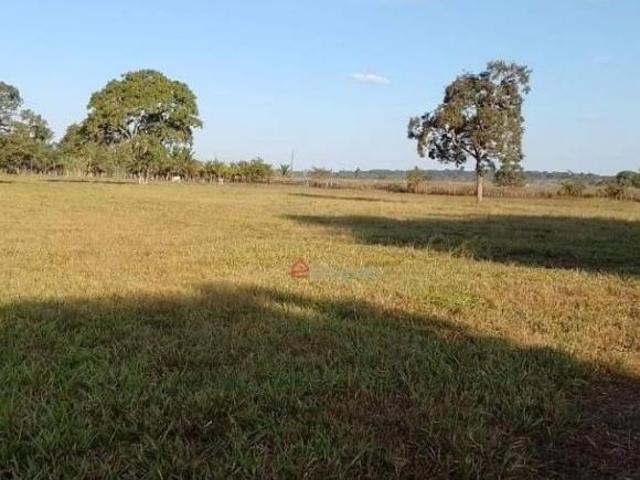 Sítio e chácara venda em Região Geográfica Imediata de Sorriso, Sorriso