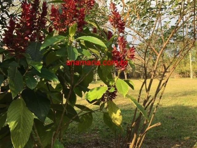 Sítio e chácara venda em Região Imediata de São Paulo, Região Metropolitana de São Paulo